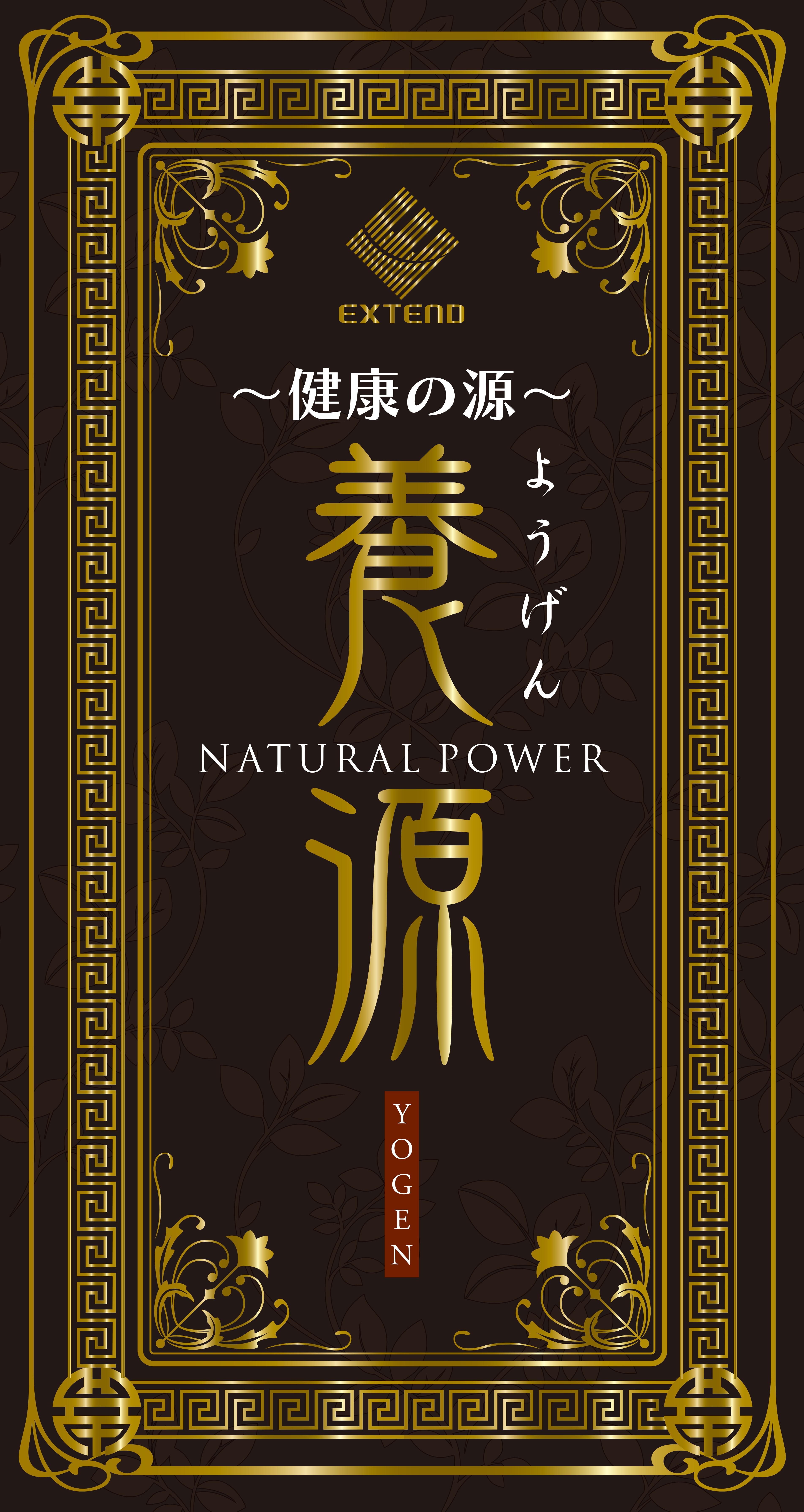 新品未開封 すっぽん 加工食品 輝源然 【T-ポイント5倍】 2800円引き